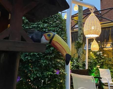 Canto Das Laranjeiras Moa Guarujá Exterior foto